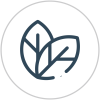 ICONES plus produit_13-Ecologique